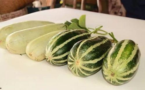 免费吃瓜网红,揭秘免费吃瓜网红的神秘魅力