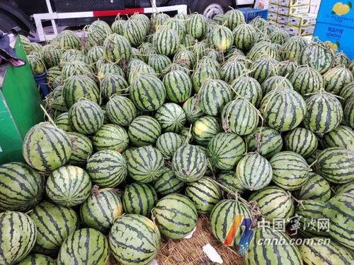 宁波吃瓜网红,宁波网红吃瓜达人带你探秘当地美食江湖