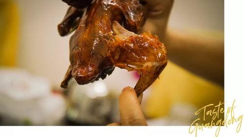 网红吃瓜鸽子是真的吗