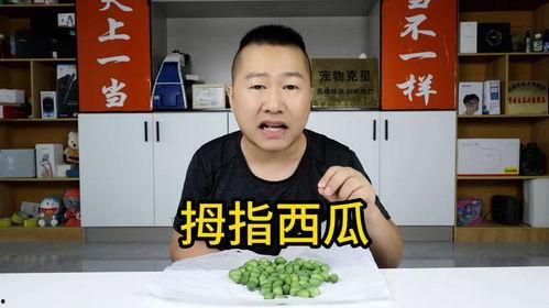 吃瓜给五块钱的网红叫什么,揭秘其爆红背后的故事