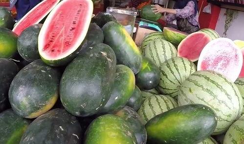 吃瓜官网进口,进口美食的全球盛宴