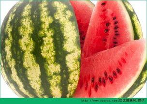 吃瓜网必看大瓜每日大赛,每日大赛精彩回顾，揭秘娱乐圈幕后风云