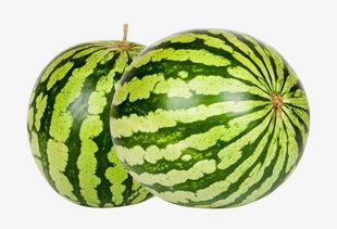 吃瓜网必看大瓜每日大赛,每日大赛精彩回顾，揭秘娱乐圈幕后风云