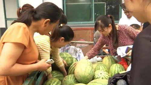 武都网红吃瓜群众事件视频