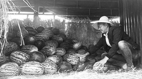 武都网红吃瓜群众事件视频