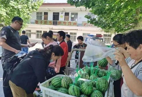 武都网红吃瓜群众事件视频