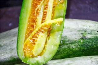 吃瓜的网红叫啥来,揭秘吃瓜网红的爆红之路