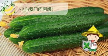 网黄吃瓜,揭秘娱乐圈背后的秘密与八卦