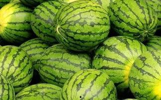 每日大赛吃瓜网莫,揭秘赛场背后的精彩故事