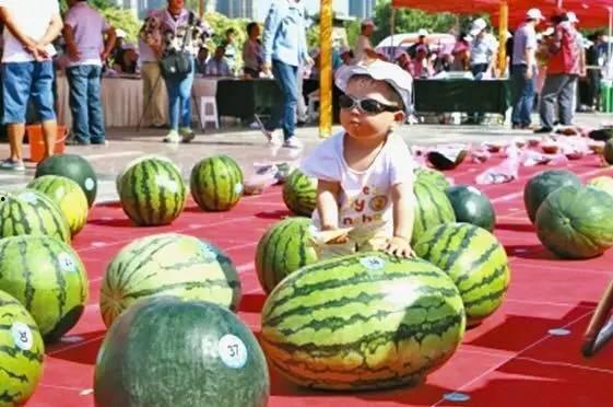 每日大赛吃瓜网莫,揭秘赛场背后的精彩故事