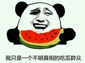 吃瓜网免费网站最新域名