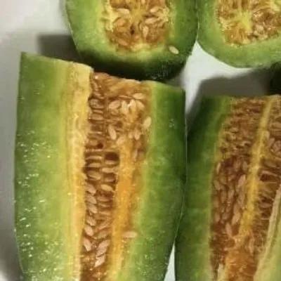 微信免费吃网红的瓜最新