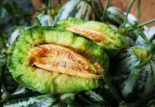 山东两位网红吃瓜事件真相,揭秘背后真相与争议