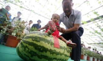 吃瓜123网,带你领略网络舆论的狂欢盛宴