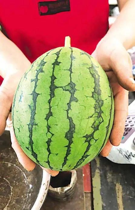 青岛吃瓜网红事件真相,揭秘背后真相与网络舆论风暴