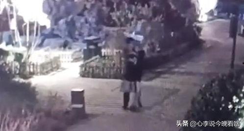 吃瓜原视频网,带你领略网络热点的背后真相