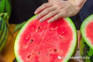 各大校园吃瓜网,揭秘各大校园网热传的幕后故事