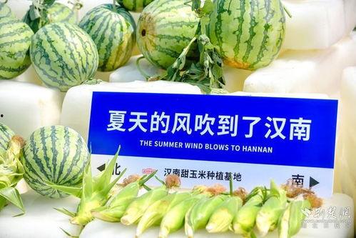 网暴吃瓜网,网暴吃瓜网，谁在操纵舆论？