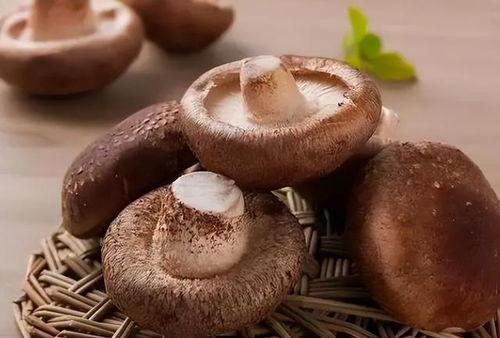 吃瓜网曝揭秘黑料蘑菇在线,蘑菇在线黑料事件始末