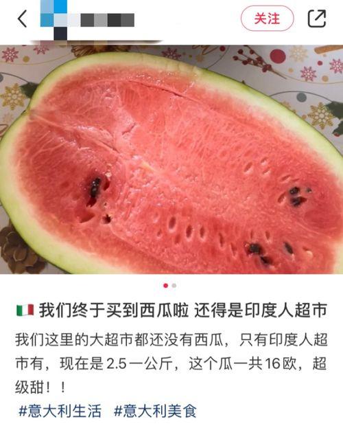 外国吃瓜网有什么,揭秘全球热点事件背后的真相与笑料