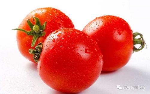网红吃瓜圣女果,一场视觉与味蕾的双重盛宴
