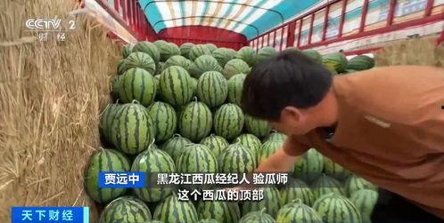 柳州bbr吃瓜网盘,揭秘热门话题背后的真相与笑料