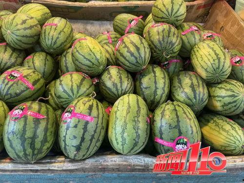 网红动感吃瓜图片大全集,捕捉生活百态趣味瞬间