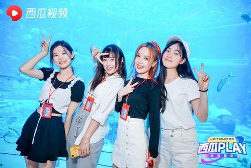 吃瓜网红姐弟视频大全集,笑料连连，欢乐无限