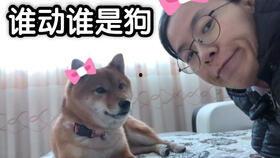 网红吃瓜胖子图片搞笑大全,笑料横飞，欢乐无限