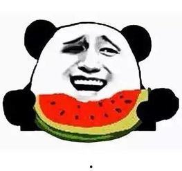 网红吃瓜胖子图片搞笑大全,笑料横飞，欢乐无限