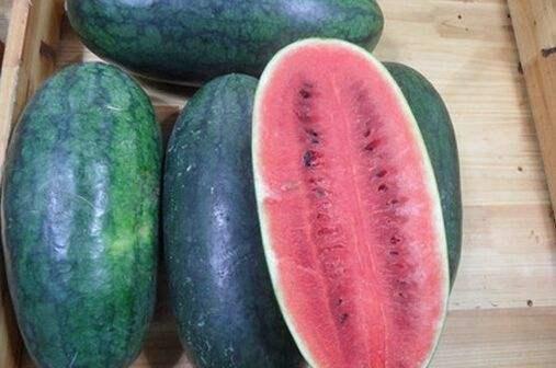 黑瓜吃料网719,揭秘热门话题背后的精彩故事