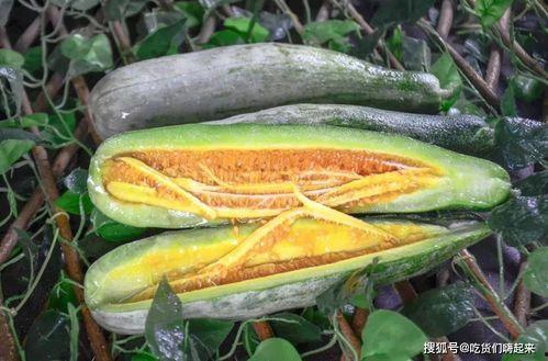 网红吃瓜金伊娜是谁啊,瓜界风云人物