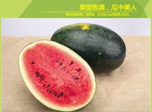 吃黑瓜网怎么进2024,轻松解锁精彩内容