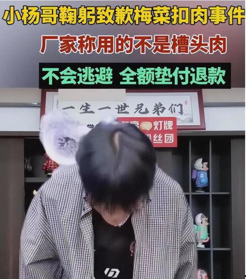 吃瓜网红小杨哥视频,揭秘网红小杨哥吃瓜视频背后的热点事件