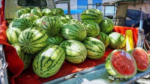 济宁网红吃瓜事件真相