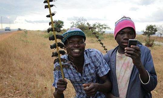 非洲网红吃瓜事件