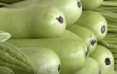 网红吃葫芦瓜视频大全,趣味视频大盘点！