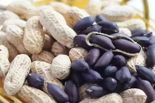 网红黑料吃瓜黑料正能量