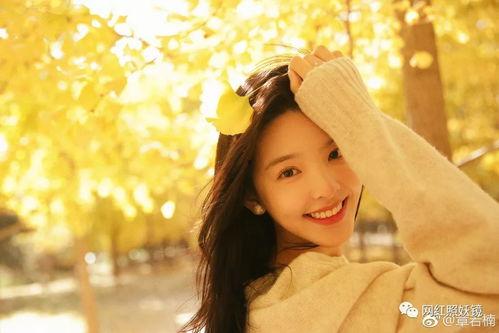 吃瓜网红带娃小说,网红妈妈带娃日常