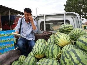 网红吃瓜王大炮