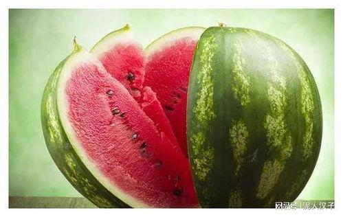 陇南市网红吃瓜群微信