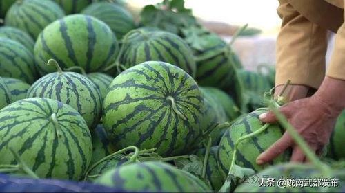 陇南市网红吃瓜群微信