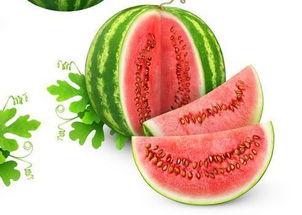 yyds22cn免费吃瓜网