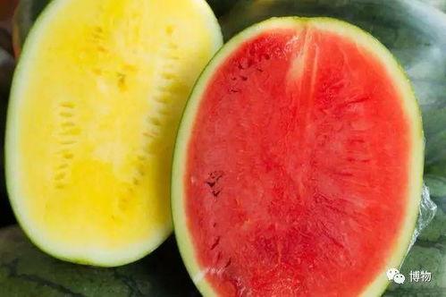 高端网红吃瓜视频大全下载,高清视频大全下载攻略  第1张