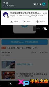 高端网红吃瓜视频下载软件,一键下载热门视频，尽享娱乐盛宴  第3张