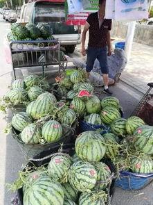 绍兴网红吃瓜事件 第2张 绍兴网红吃瓜事件 第2张