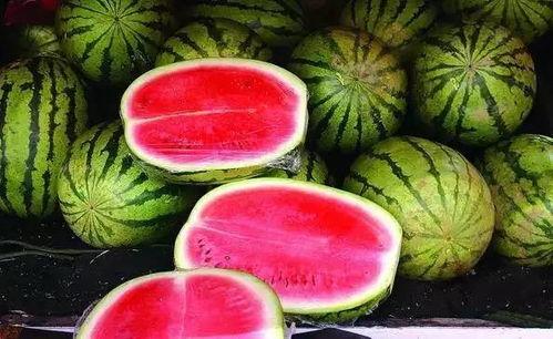 太原市网红吃小瓜的店在哪 第2张 太原市网红吃小瓜的店在哪 第2张