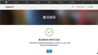 网红吃瓜视频账号怎么找,揭秘幕后制作与热门话题背后的秘密  第2张