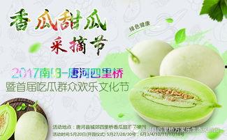 网红吃瓜大集合图片高清,高清图鉴揭秘娱乐圈幕后风云  第2张