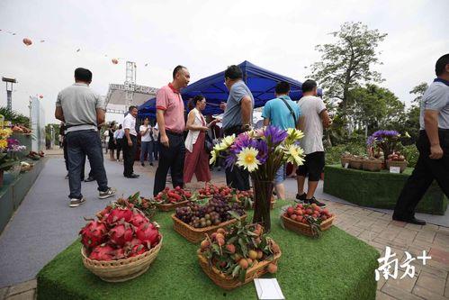 怎么进吃瓜群众官网地址,轻松获取最新资讯，畅享网络娱乐盛宴！”  第1张